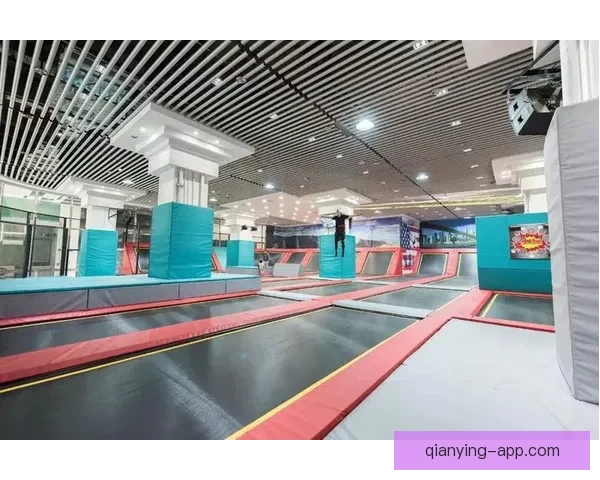 2026年世界杯各队夺冠赔率分析及热门球队展望